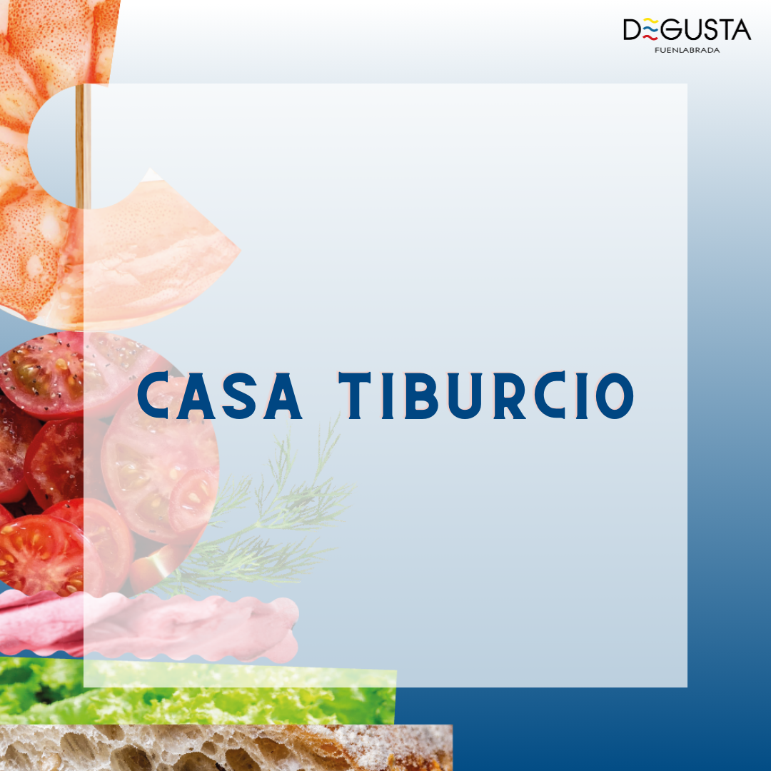 Lee más sobre el artículo Casa Tiburcio