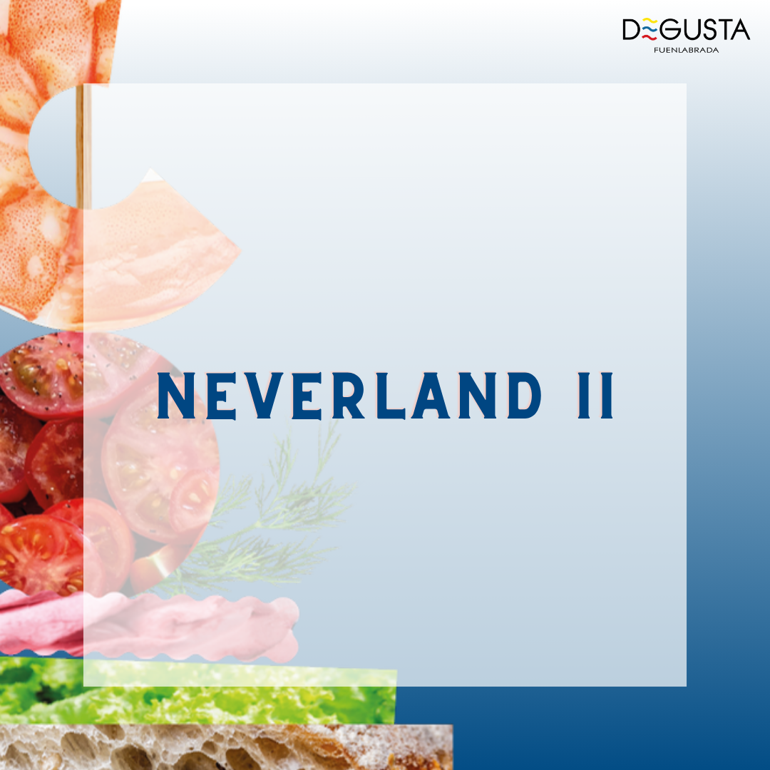 Logo Neverland II